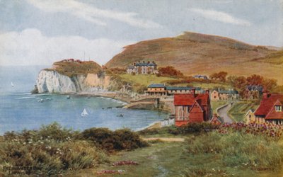 Freshwater Bay, Isle of Wight von Alfred Robert Quinton